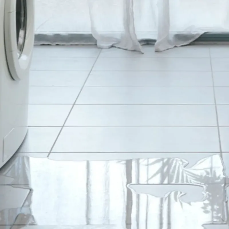 Appliance Leak Cleanup in Thornton, IL