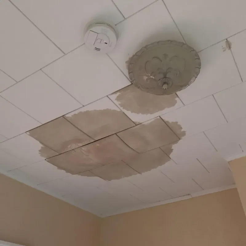 Ceiling Water Damage Repair in Thornton, IL