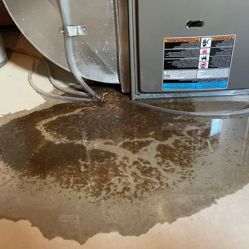 Pipe Burst and Leak Restoration in Thornton, IL