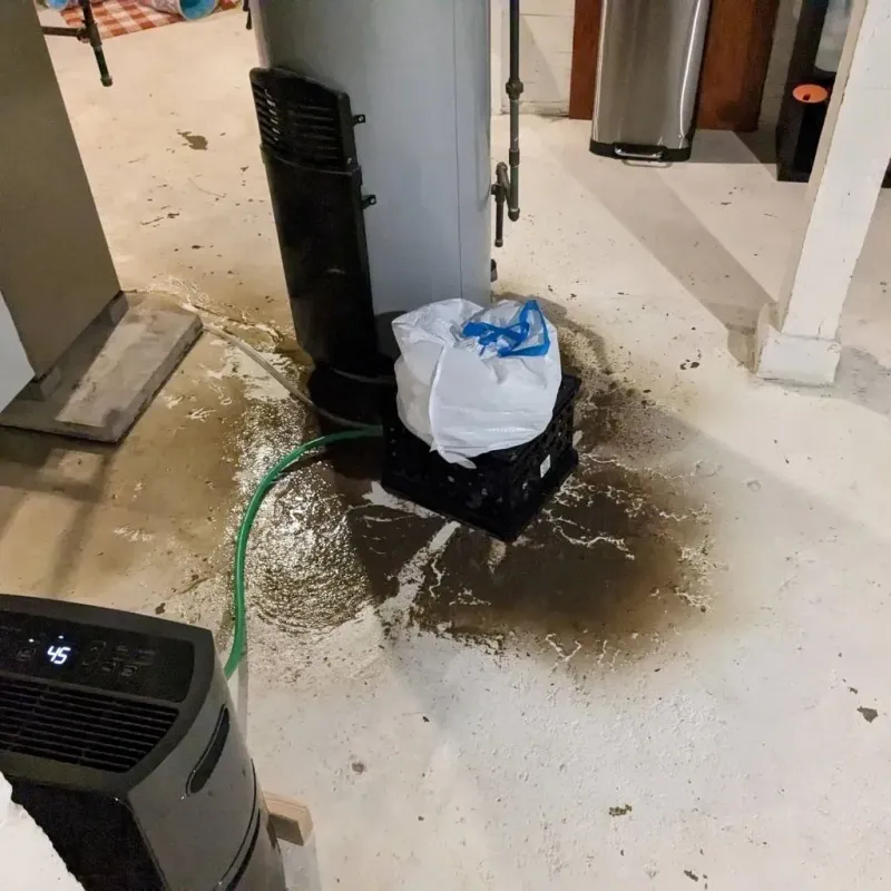 Sewage Backup Cleanup Service in Thornton, IL